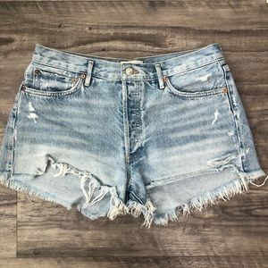 Agolde Parker Shorts in Swapmeet